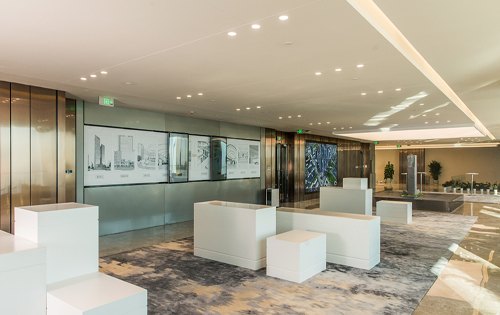 奥南5号实拍图3